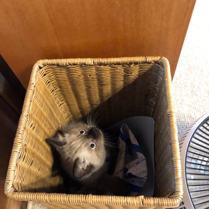 E5ae41a5 e09c 445a b8cb 444bd6a86c0e 1586421576942