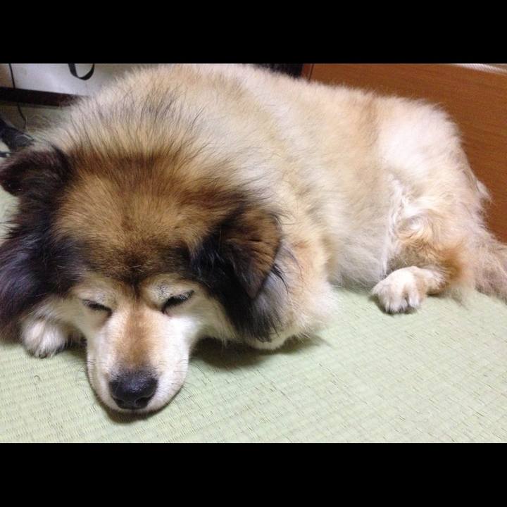 E5ae566b 0d7d 4f4e 8d25 b4136efb8e91 1592282732770