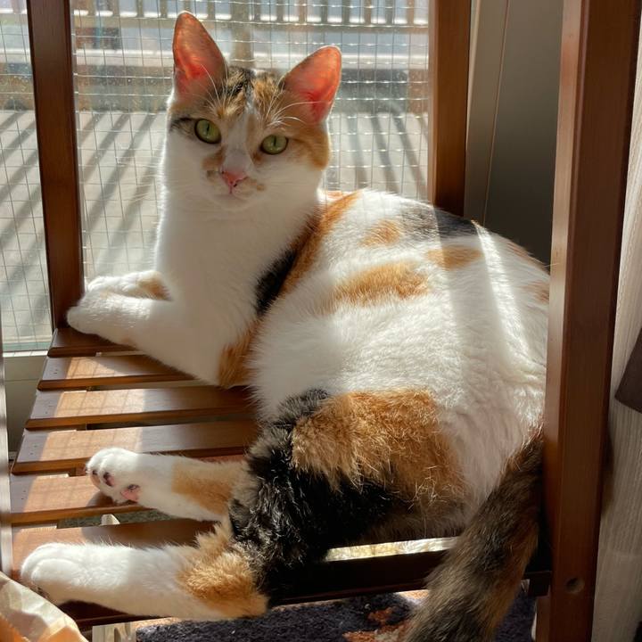 E5ae70a6 13f6 4743 9e39 be8e25761195 1660458877398