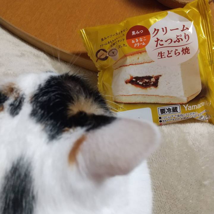 E5ae7e37 2cb4 46d6 9a22 7889011cd559 1669460762169