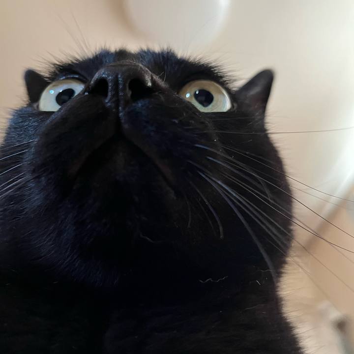 E5ae8191 a957 4555 9487 98e75269e912 1752888516506