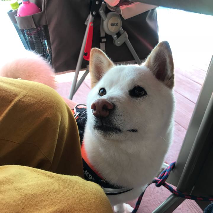 E5aeba16 5d24 4b93 b28a 97a1c7004f6d 1527907036226