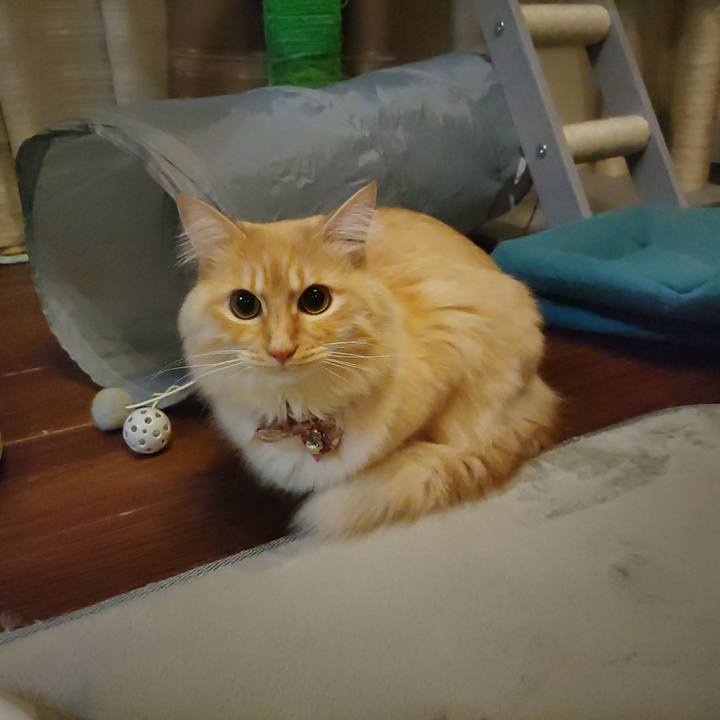 E5aeface 432e 4eb1 8428 03f9e3f75234 1668600805172