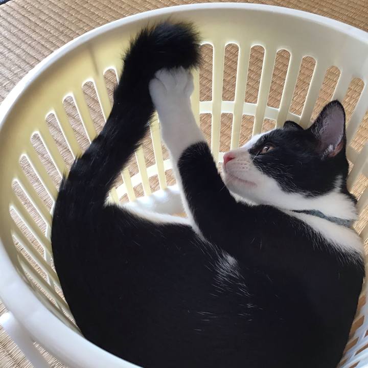 E5af0927 07b0 4359 abf9 171b9353066b 1631259176427