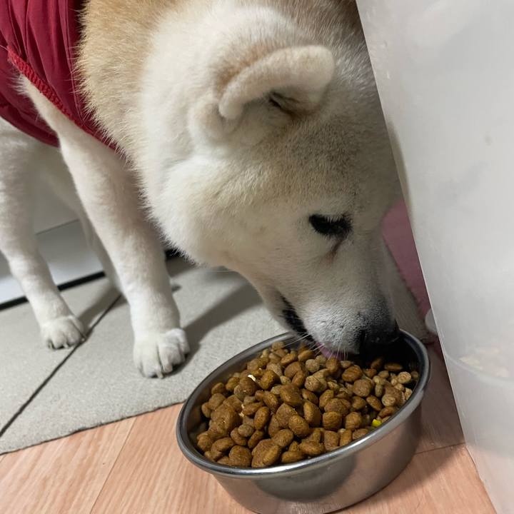 E5af2a36 51b2 4593 aa3b 5e21a8c6be0a 1706734472899