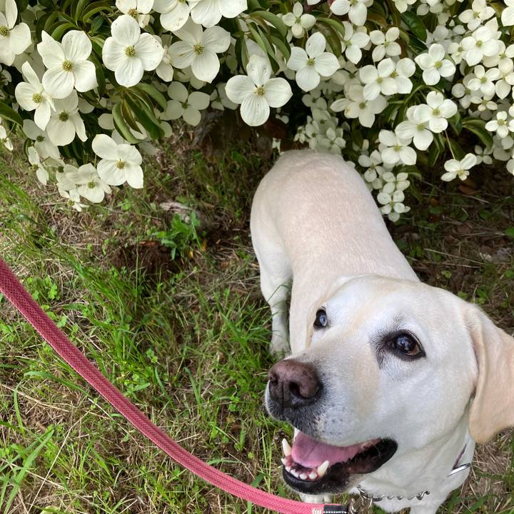 E5af6a8f 8848 4359 affe 2aea405dd8a5 1686273697337