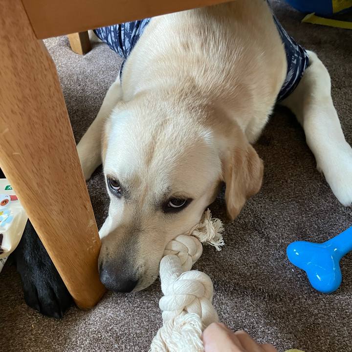 E5afa556 5383 4d12 a122 538cf2327020 1626848272867