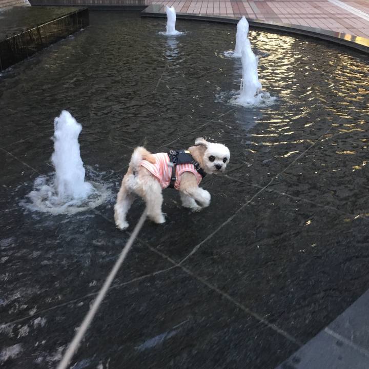 E5afe147 3576 414b 9fd6 d35903406fd9 1563362159440