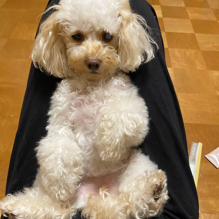 E5b0143d 5b4f 482e a55d c166f54d0c6a 1628421549205