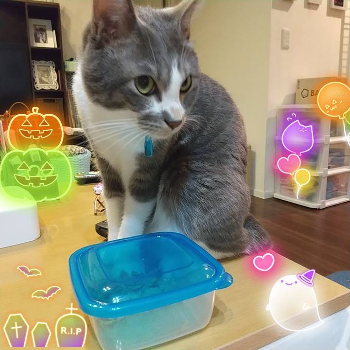 E5b021d1 68b9 4b38 9f29 a58d893ad40d 1635560554812