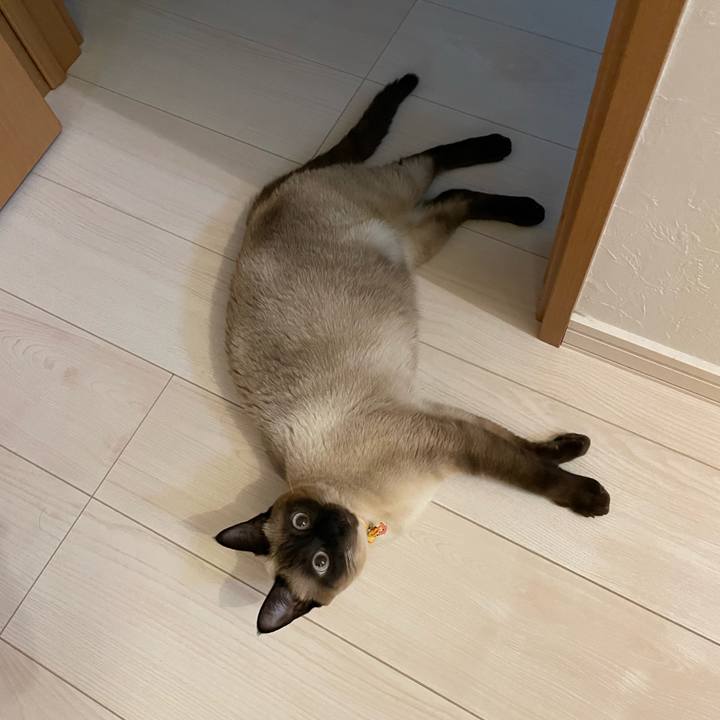 E5b02573 3a46 484d b976 3830ce91d052 1721589600572