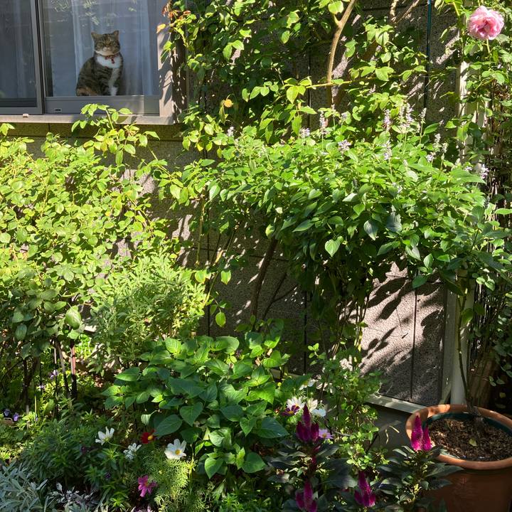 E5b04d7d a1e3 426c 94ba 6a015a26349b 1760670713461