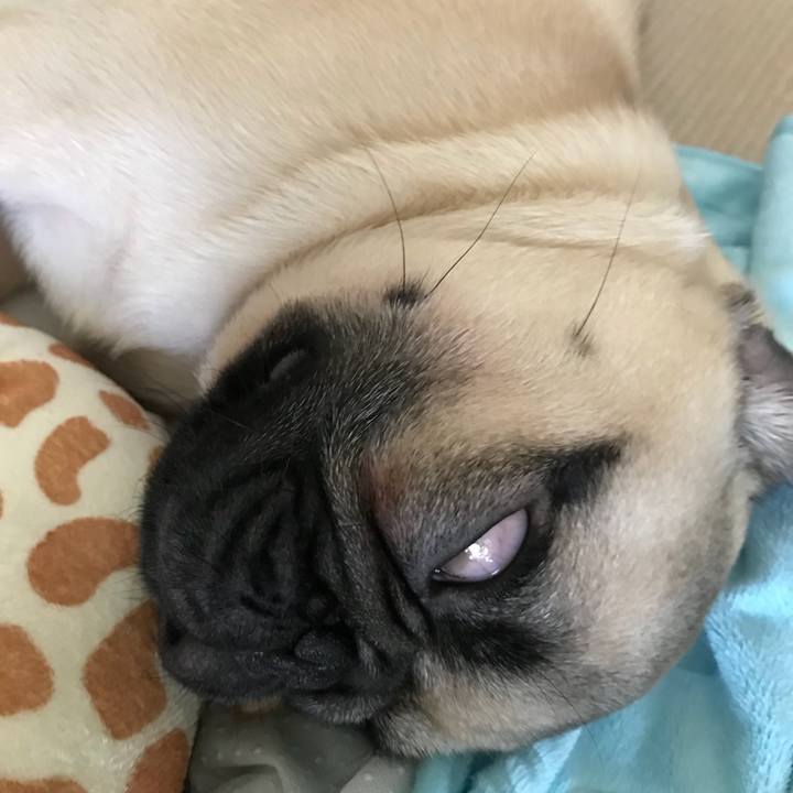 E5b07651 ea80 43f6 a9ad b0463355256b 1537248392212