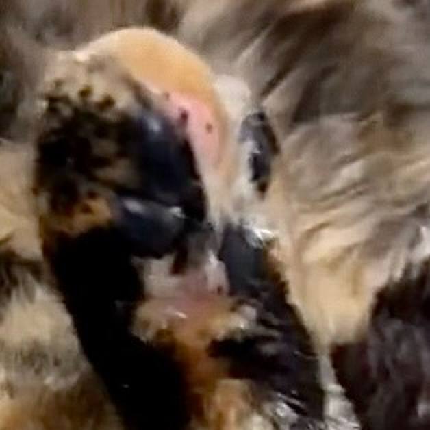 E5b07ef7 961d 4daa 902a 05e3b5299d8b 1757449154761