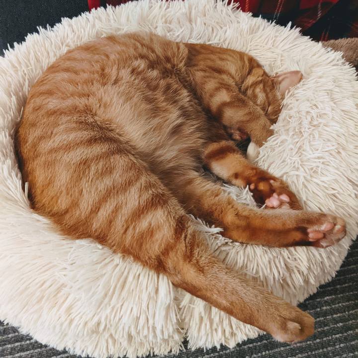 E5b0e17b c37d 4068 ac16 e61d381788cb 1624188592078