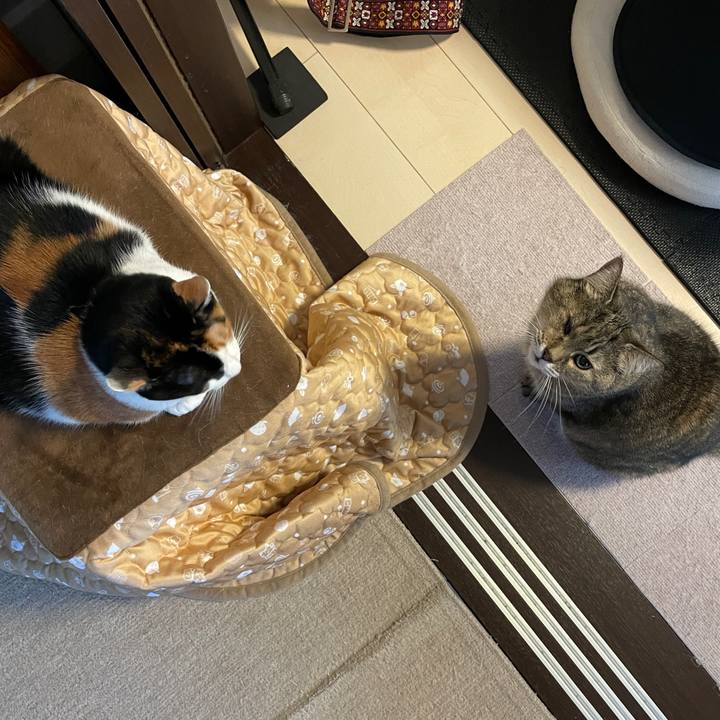 E5b10e05 6e77 4b46 87d1 1c76589917ef 1736895149260