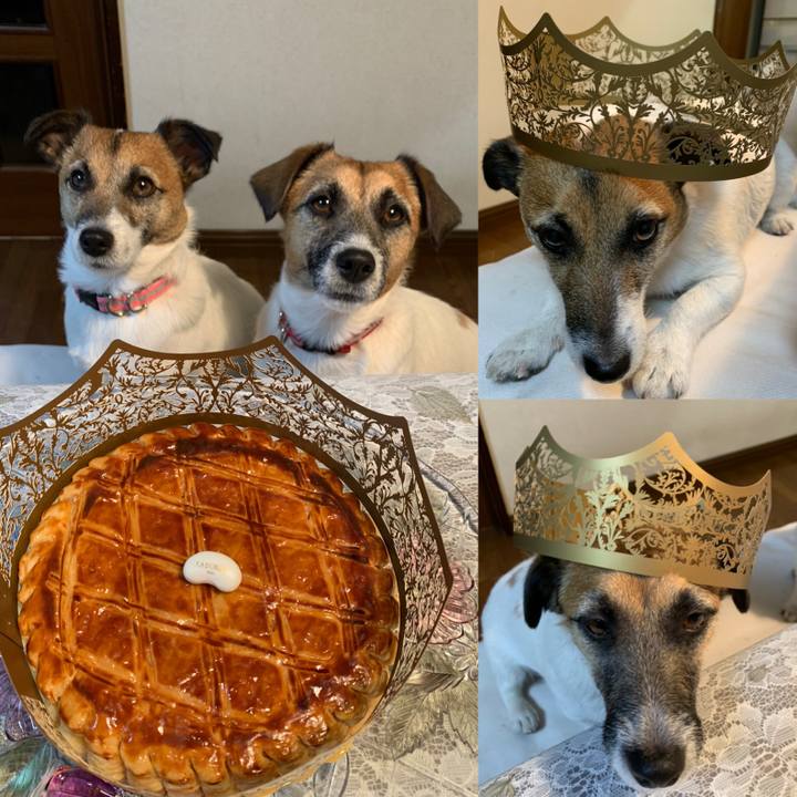 E5b129bc b9c9 4bfe ae2e a3ccf5110053 1609588624797