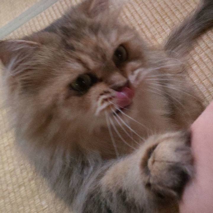 E5b148d3 1768 417d 807f aca10dfde676 1598233009645