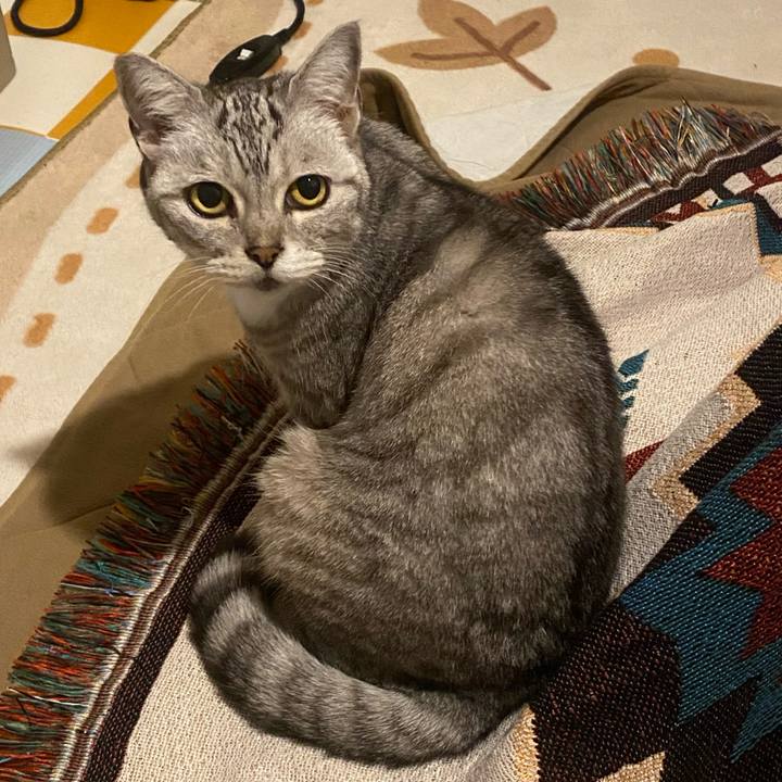 E5b160eb 68e4 487d a57a bb8ce527a91e 1734427343397