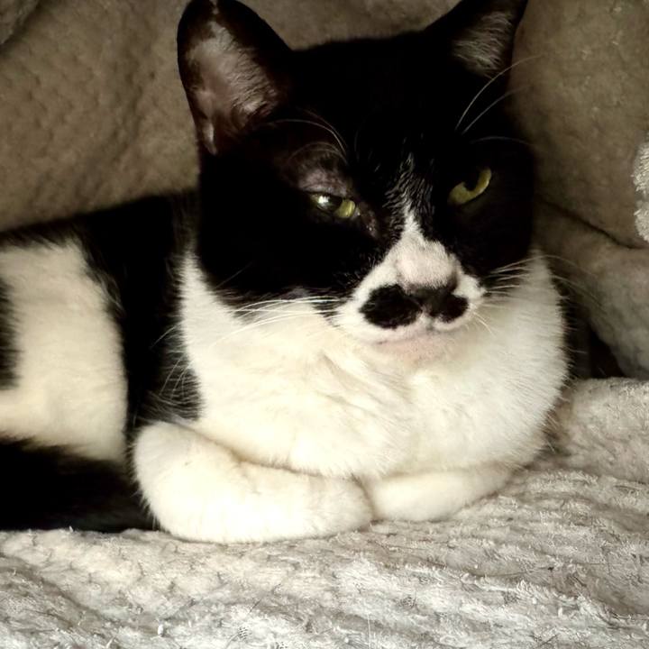 E5b1703f f930 4298 8d0b c8ef33d3b9f2 1742005363325