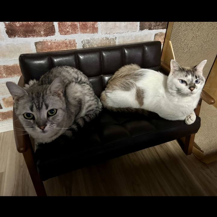 E5b19816 895c 418f 8b78 64e6112086e3 1717468008486