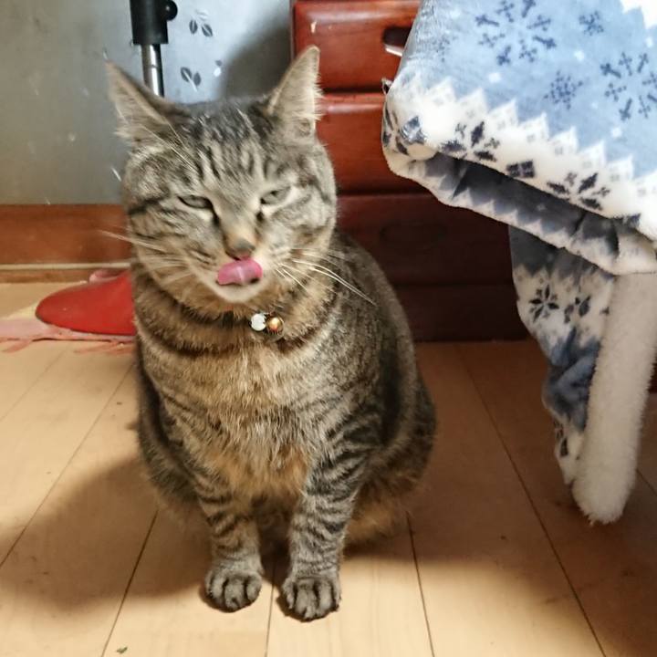 E5b1bf7a c252 4e09 aefc d187b136fdc2 1648456783607