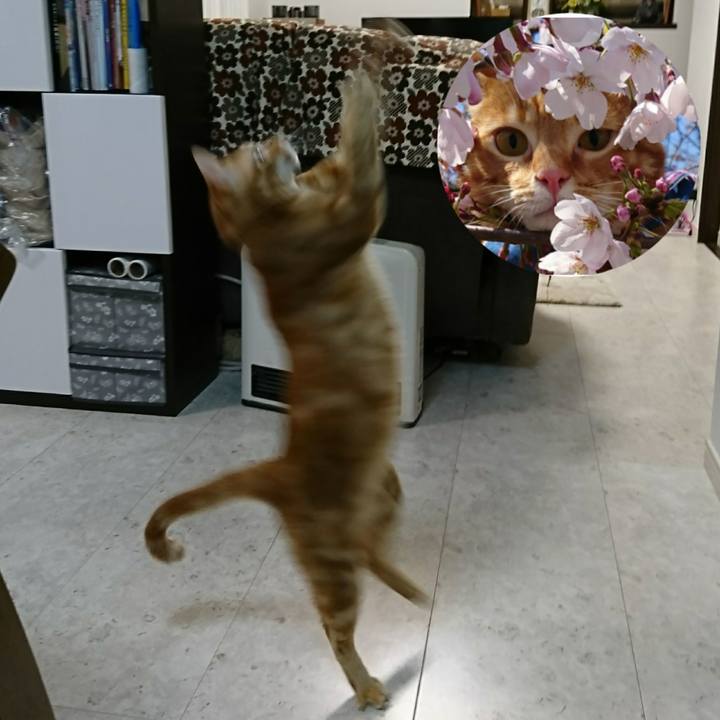 E5b1d3fe 91cb 4b92 bab6 f3e27311de01 1520147617591