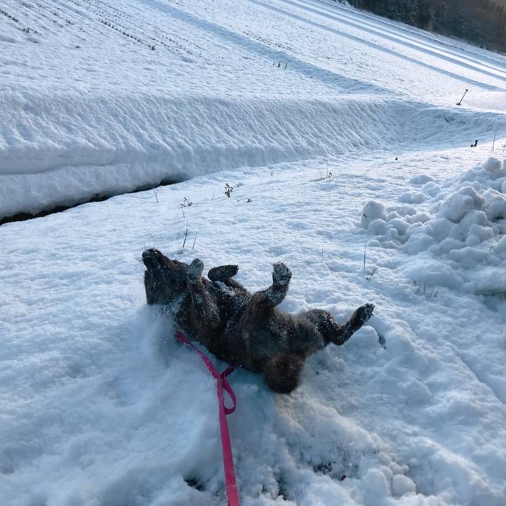 E5b1f2d6 cf30 42ab b795 28d4fca350b2 1517442007784