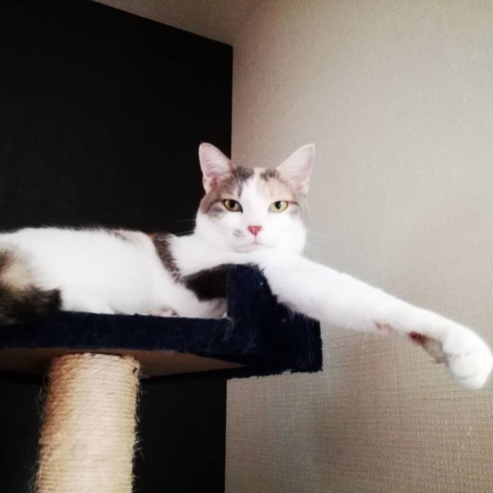 E5b210f8 3ee0 4789 bfda 3c5fa8382972 1538737193243