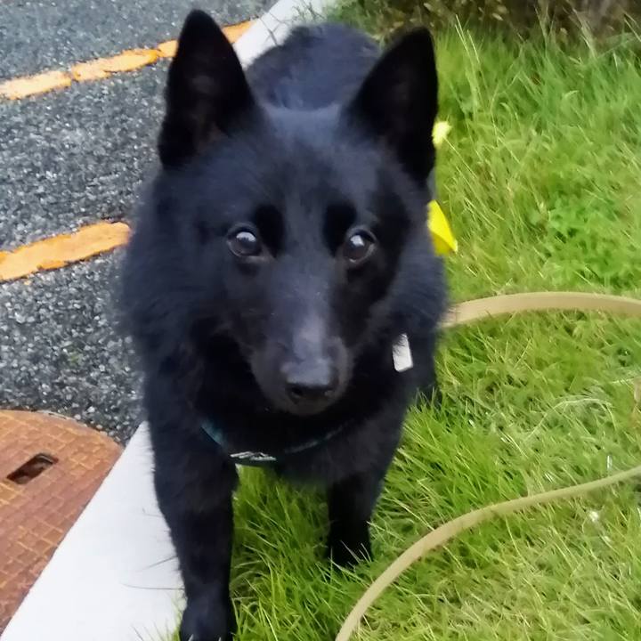 E5b213d7 63b7 44ec 961f 488c0c09b553 1663621592997