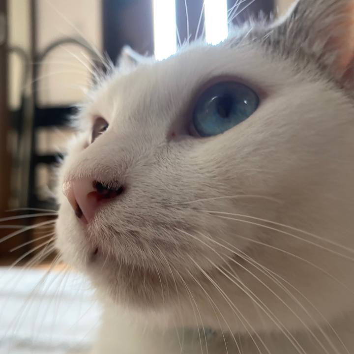 E5b21679 351a 4f73 b033 4180d06c9647 1602760423978