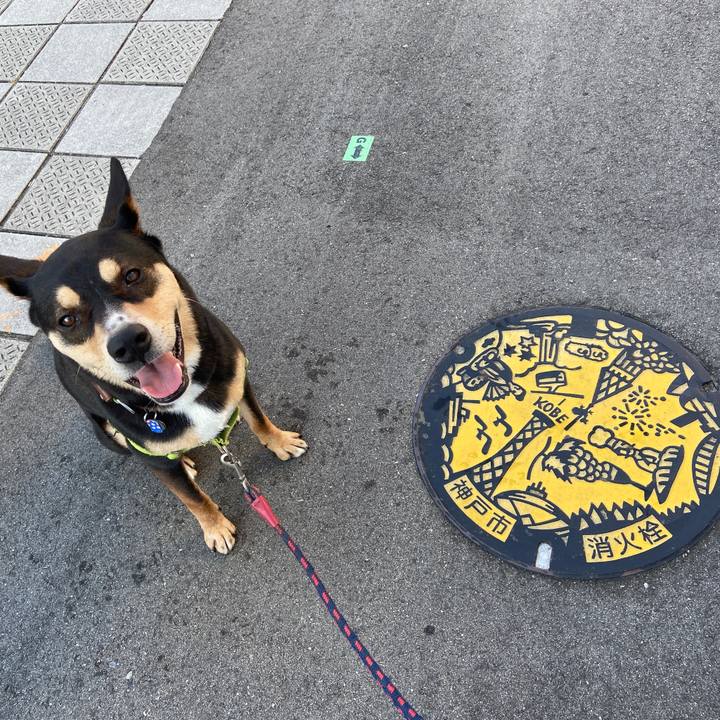 E5b21870 6585 4746 b7a0 a5d2ae1c31c8 1627726652495