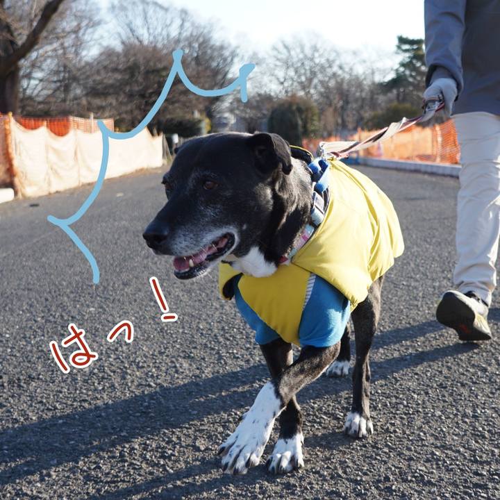 E5b21fd7 d741 4ece b802 74b77f48f51a 1767574395112