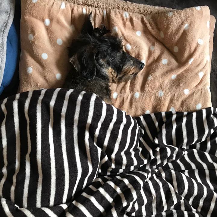 E5b22d41 0622 42c4 bfff b10be4d5e41d 1545353455682