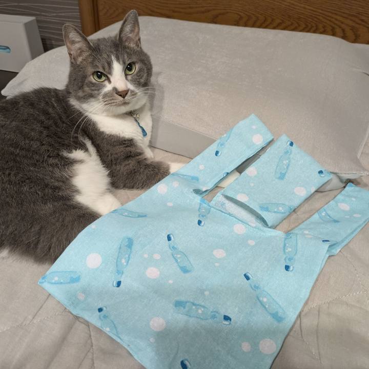 E5b2d7ce 989a 4b88 9d52 882e66c597b0 1750861156273