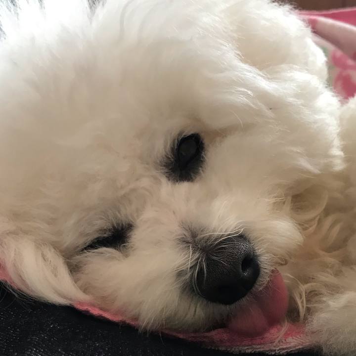 E5b2ea72 f1cd 4e7b a00a 2aca91a6c6e5 1583728381552