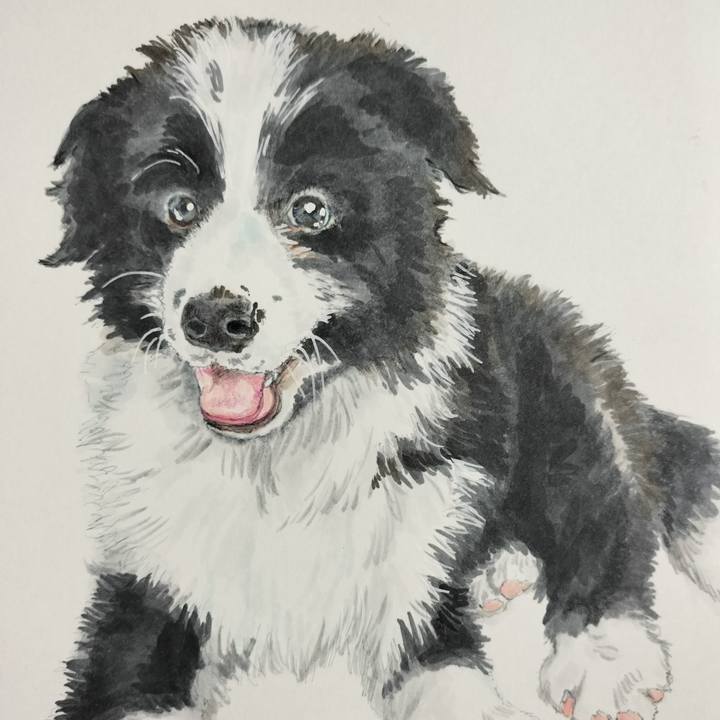 E5b3aa81 b641 402a 9d41 a99bd4047da8 1686087333692