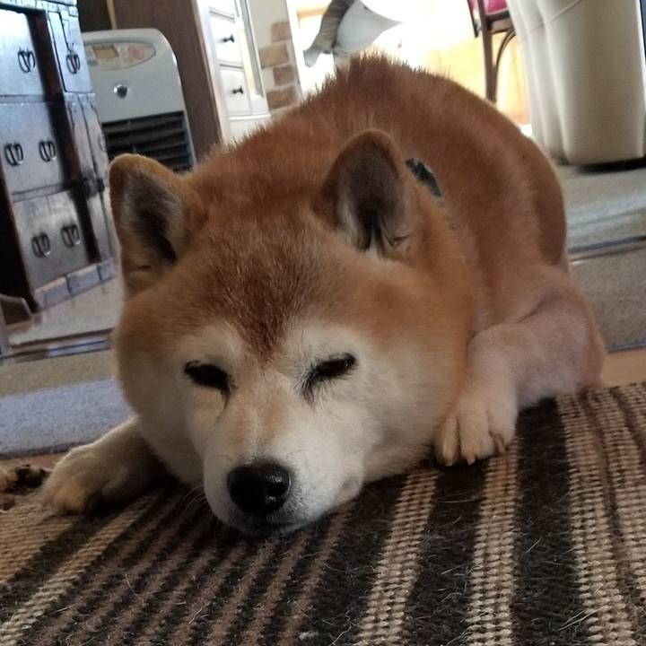 E5b3b123 f6a1 410d a076 191a28ceb2a1 1704425188498