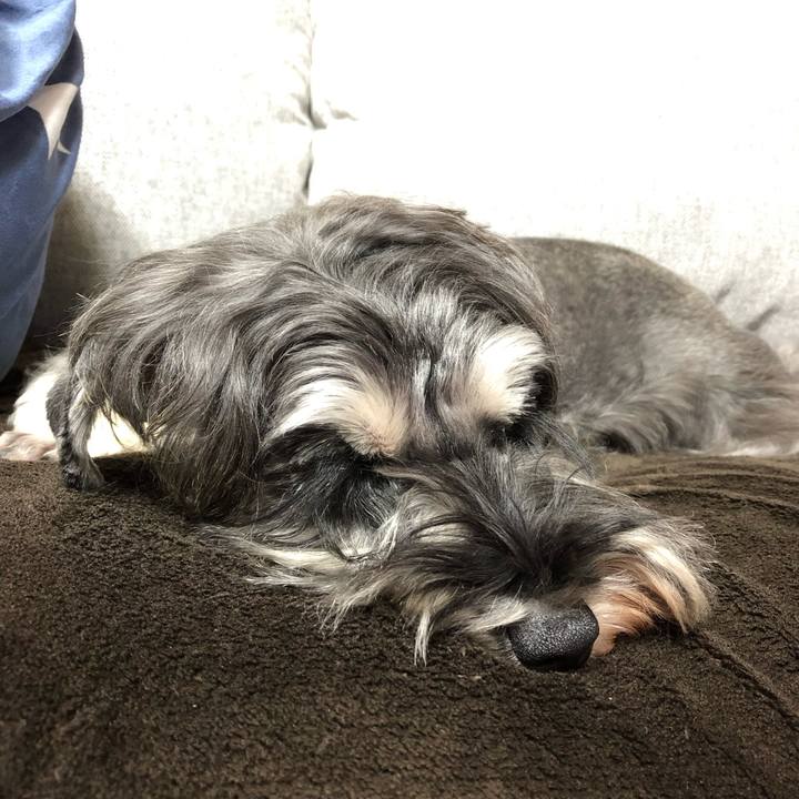 E5b3bd32 7d63 400e bfb6 71b1b247d476 1577361059195