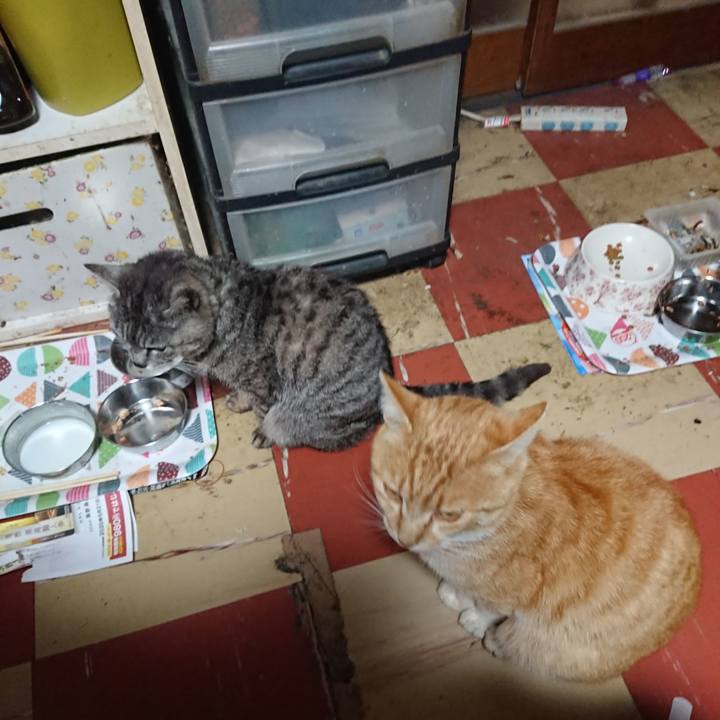 E5b3d388 87f9 4aad a194 6bfa97712cd8 1588970485775