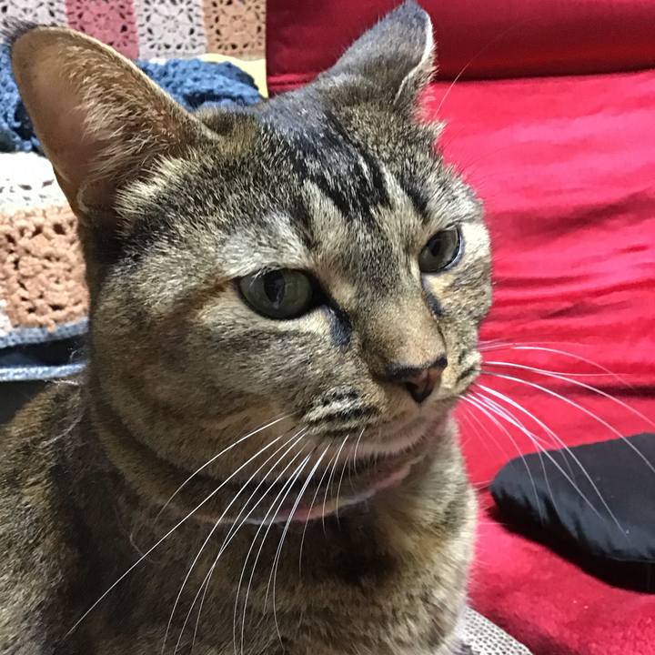 E5b3e6a5 2152 4559 a1a0 2eaeef15bc95 1698665001721