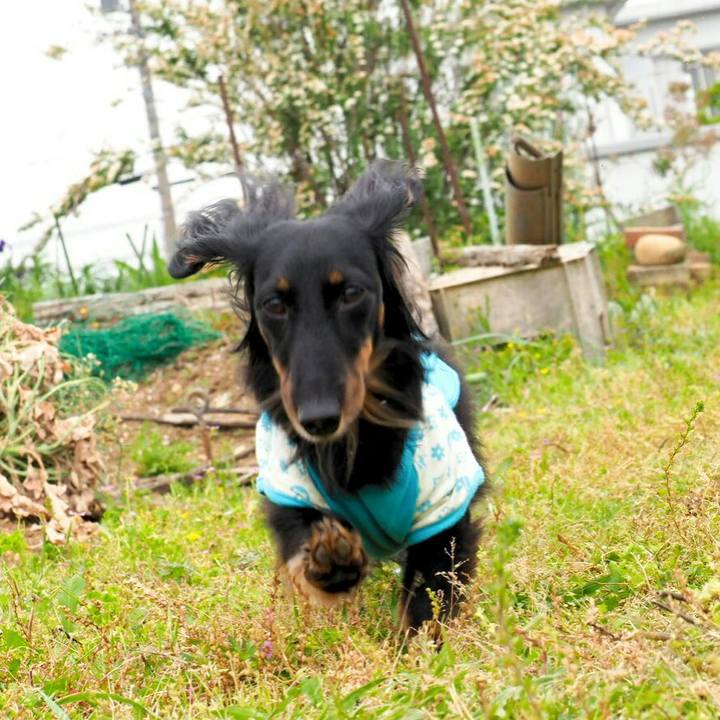 E5b3ee15 cfb0 4104 a308 e66be36e876a 1558059198433