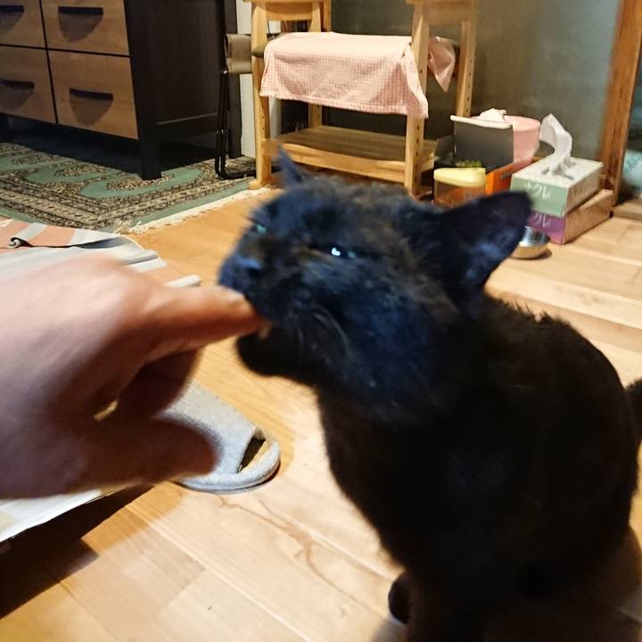 E5b3f7dc 6784 4dbd 8e81 54816ffb5558 1621861280254