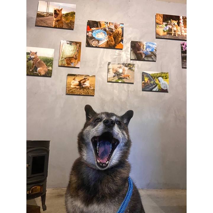 E5b418fa 6082 4a73 90dc b56fb00eb22d 1699526666879