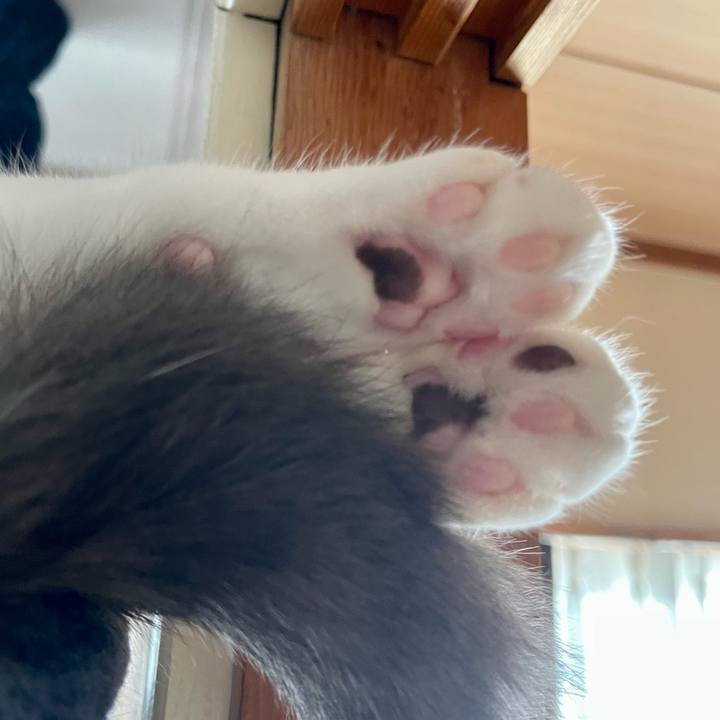 E5b4238a e0bf 488d a937 2e4f0be59a6c 1660174439067