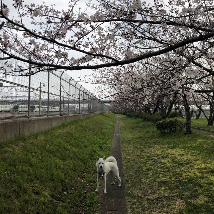 E5b4561c 0ce0 487a b80f 15434f03a6ef 1553736470787