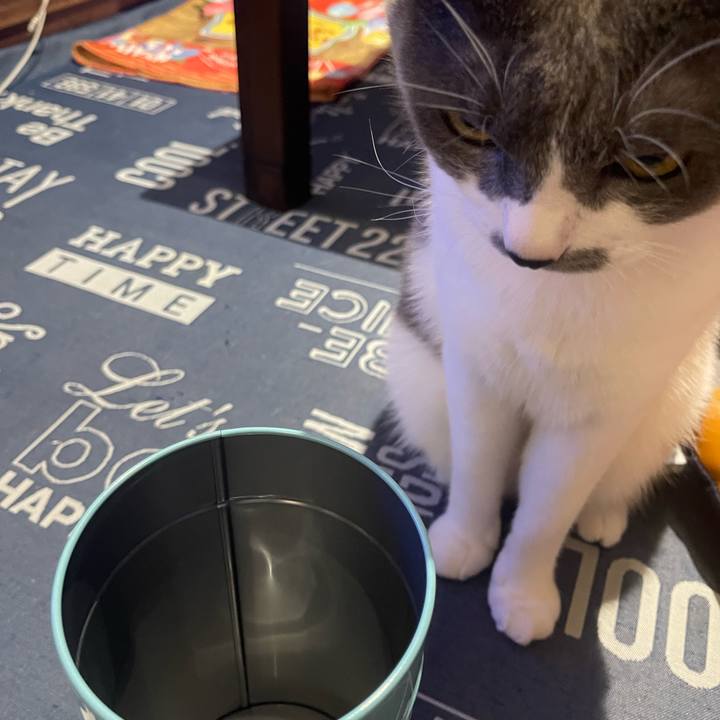 E5b459e3 3c26 4b5d b30b c932b02c48df 1699090835787