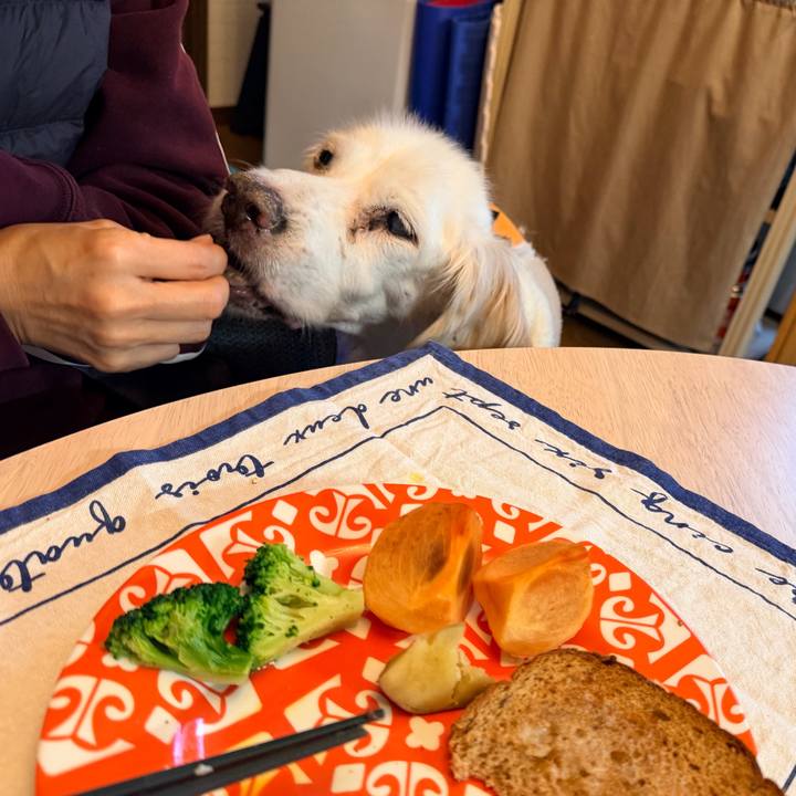 E5b47ed2 e22e 424b 87ec 550d7a9d3b90 1763419567773