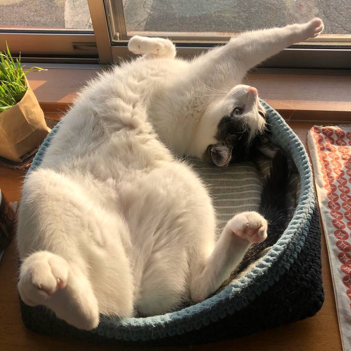 E5b4a06d cf18 4c5c b121 1b4c6073102a 1714258456646