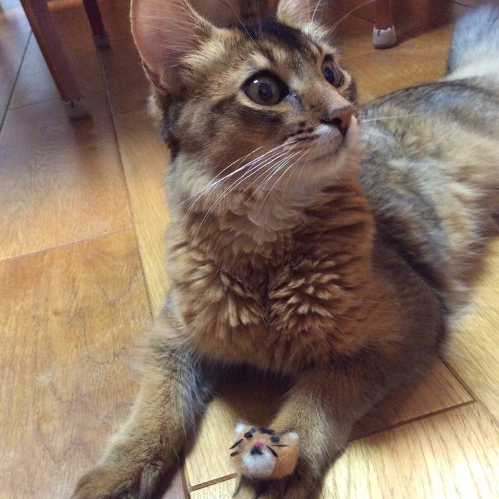 E5b50cc0 66cb 4bc8 b012 cd99be8f8714 1565182592430